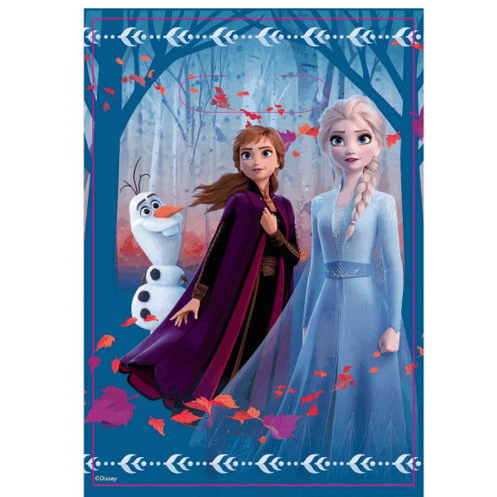 Frozen party supplies - plastic lootbags